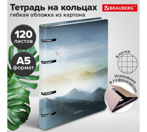 Тетрадь на кольцах А5 160х212 мм, 120 листов, картон, матовая ламинация, клетка, BRAUBERG, 