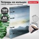Тетрадь на кольцах А5 160х212 мм, 120 листов, картон, матовая ламинация, клетка, BRAUBERG, 