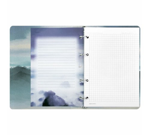 Тетрадь на кольцах А5 160х212 мм, 120 листов, картон, матовая ламинация, клетка, BRAUBERG, 