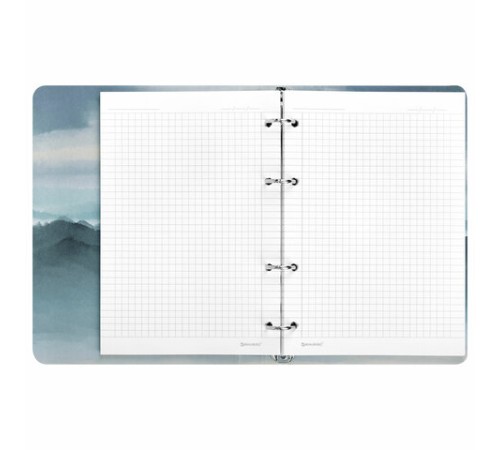 Тетрадь на кольцах А5 160х212 мм, 120 листов, картон, матовая ламинация, клетка, BRAUBERG, 