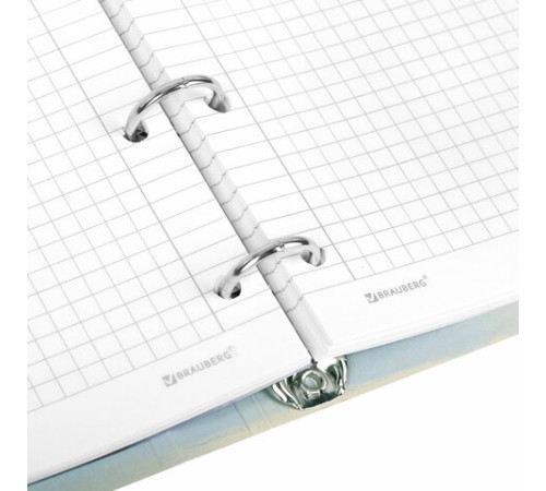 Тетрадь на кольцах А5 160х212 мм, 120 листов, картон, матовая ламинация, клетка, BRAUBERG, 