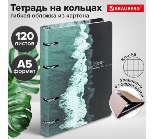 Тетрадь на кольцах А5 160х212 мм, 120 листов, картон, матовая ламинация, клетка, BRAUBERG, 