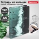 Тетрадь на кольцах А5 160х212 мм, 120 листов, картон, матовая ламинация, клетка, BRAUBERG, 
