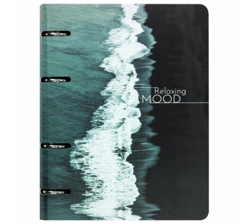 Тетрадь на кольцах А5 160х212 мм, 120 листов, картон, матовая ламинация, клетка, BRAUBERG, 