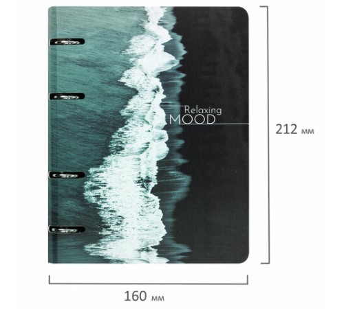 Тетрадь на кольцах А5 160х212 мм, 120 листов, картон, матовая ламинация, клетка, BRAUBERG, 