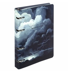 Тетрадь на кольцах А5 160х212 мм, 120 листов, картон, матовая ламинация, клетка, BRAUBERG, 