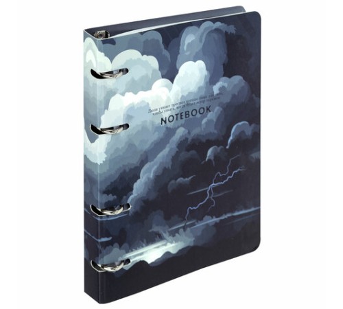 Тетрадь на кольцах А5 160х212 мм, 120 листов, картон, матовая ламинация, клетка, BRAUBERG, 