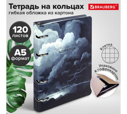 Тетрадь на кольцах А5 160х212 мм, 120 листов, картон, матовая ламинация, клетка, BRAUBERG, 
