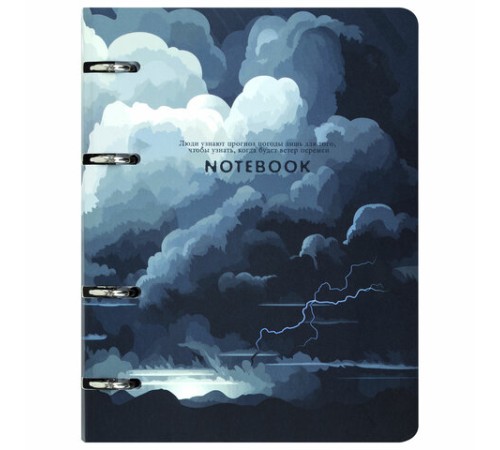 Тетрадь на кольцах А5 160х212 мм, 120 листов, картон, матовая ламинация, клетка, BRAUBERG, 