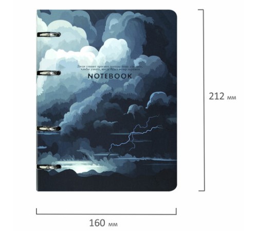 Тетрадь на кольцах А5 160х212 мм, 120 листов, картон, матовая ламинация, клетка, BRAUBERG, 