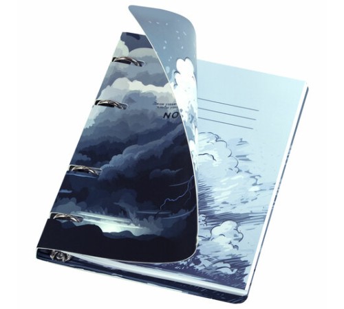 Тетрадь на кольцах А5 160х212 мм, 120 листов, картон, матовая ламинация, клетка, BRAUBERG, 