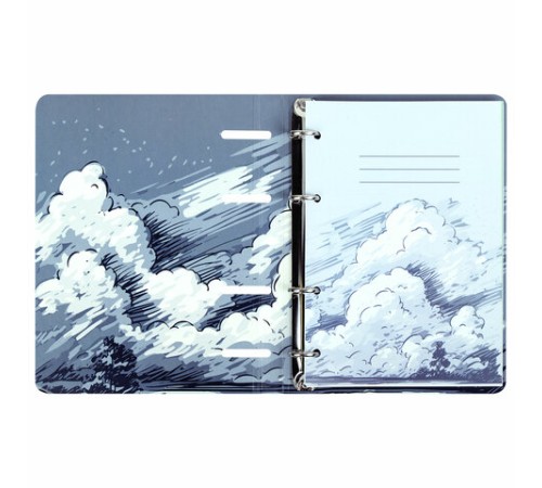 Тетрадь на кольцах А5 160х212 мм, 120 листов, картон, матовая ламинация, клетка, BRAUBERG, 