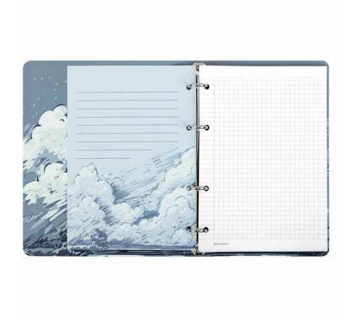 Тетрадь на кольцах А5 160х212 мм, 120 листов, картон, матовая ламинация, клетка, BRAUBERG, 