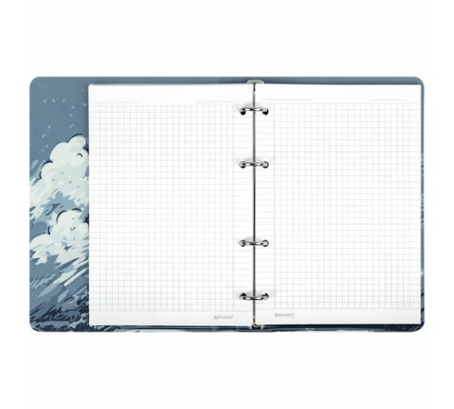 Тетрадь на кольцах А5 160х212 мм, 120 листов, картон, матовая ламинация, клетка, BRAUBERG, 