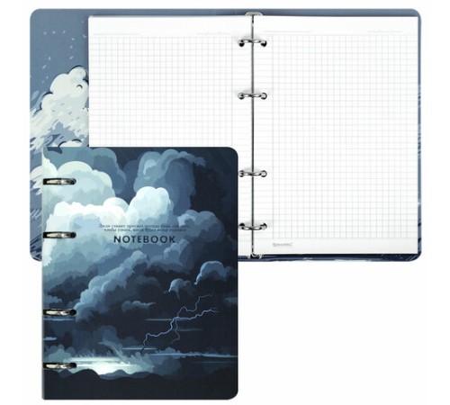 Тетрадь на кольцах А5 160х212 мм, 120 листов, картон, матовая ламинация, клетка, BRAUBERG, 