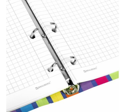 Тетрадь на кольцах А5 160х212 мм, 120 листов, картон, матовая ламинация, клетка, BRAUBERG, 