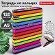 Тетрадь на кольцах А5 160х212 мм, 120 листов, картон, матовая ламинация, клетка, BRAUBERG, 