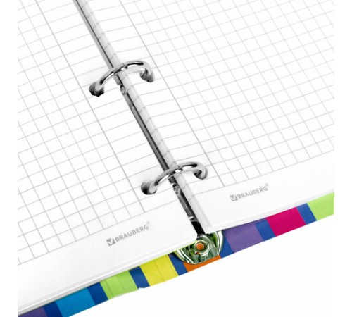 Тетрадь на кольцах А5 160х212 мм, 120 листов, картон, матовая ламинация, клетка, BRAUBERG, 