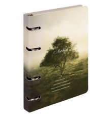 Тетрадь на кольцах А5 160х212 мм, 120 листов, картон, матовая ламинация, клетка, BRAUBERG, 