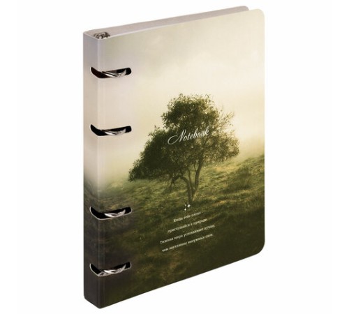 Тетрадь на кольцах А5 160х212 мм, 120 листов, картон, матовая ламинация, клетка, BRAUBERG, 