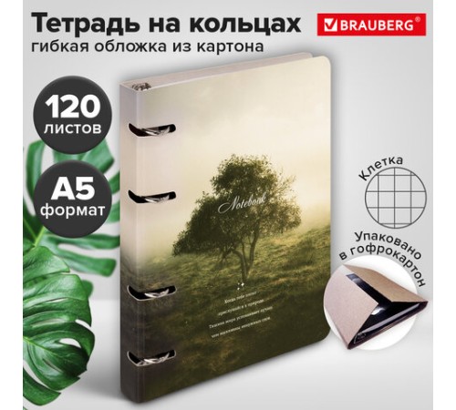 Тетрадь на кольцах А5 160х212 мм, 120 листов, картон, матовая ламинация, клетка, BRAUBERG, 