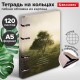 Тетрадь на кольцах А5 160х212 мм, 120 листов, картон, матовая ламинация, клетка, BRAUBERG, 