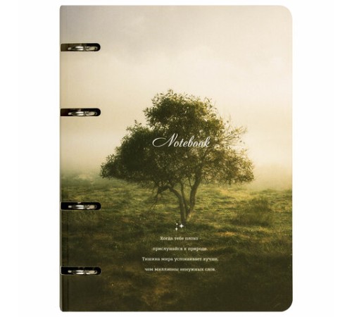 Тетрадь на кольцах А5 160х212 мм, 120 листов, картон, матовая ламинация, клетка, BRAUBERG, 