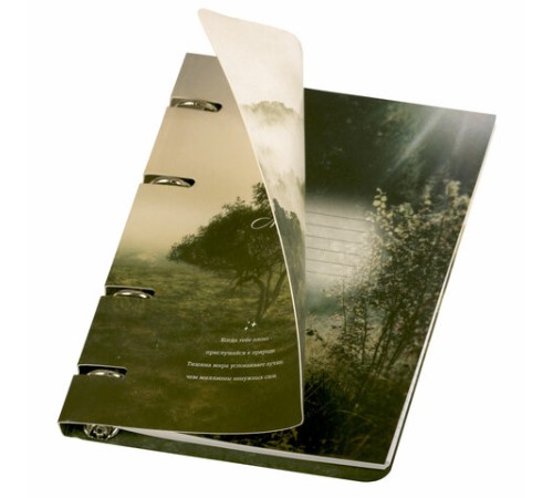 Тетрадь на кольцах А5 160х212 мм, 120 листов, картон, матовая ламинация, клетка, BRAUBERG, 