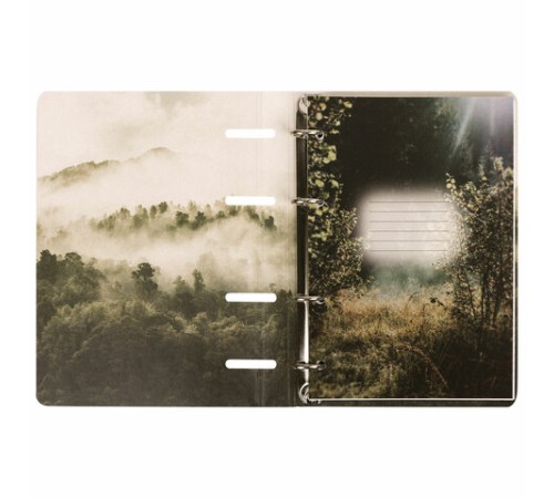 Тетрадь на кольцах А5 160х212 мм, 120 листов, картон, матовая ламинация, клетка, BRAUBERG, 