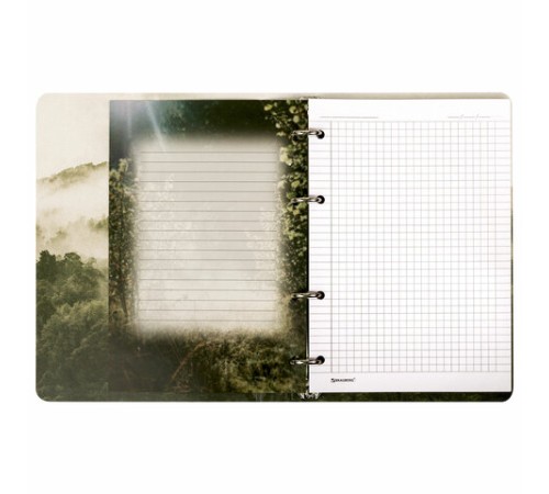 Тетрадь на кольцах А5 160х212 мм, 120 листов, картон, матовая ламинация, клетка, BRAUBERG, 