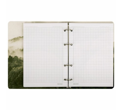 Тетрадь на кольцах А5 160х212 мм, 120 листов, картон, матовая ламинация, клетка, BRAUBERG, 