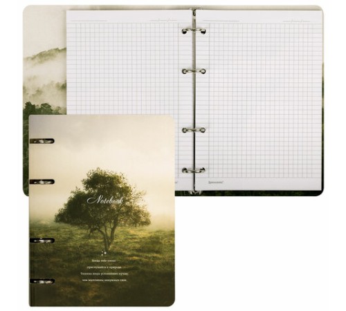 Тетрадь на кольцах А5 160х212 мм, 120 листов, картон, матовая ламинация, клетка, BRAUBERG, 