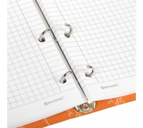 Тетрадь на кольцах А5 160х212 мм, 120 листов, картон, выборочный лак, клетка, BRAUBERG, 