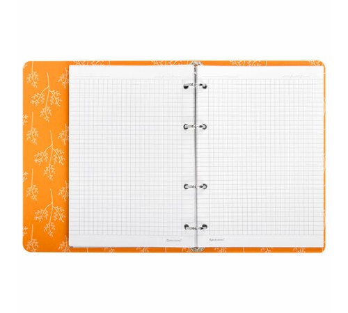 Тетрадь на кольцах А5 160х212 мм, 120 листов, картон, выборочный лак, клетка, BRAUBERG, 