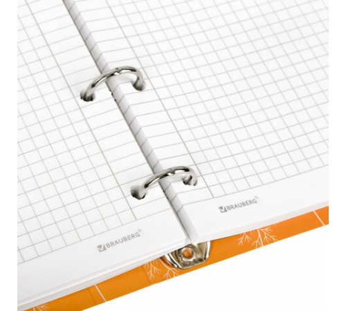 Тетрадь на кольцах А5 160х212 мм, 120 листов, картон, выборочный лак, клетка, BRAUBERG, 