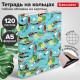 Тетрадь на кольцах А5 160х212 мм, 120 листов, картон, выборочный лак, клетка, BRAUBERG, 