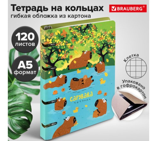 Тетрадь на кольцах А5 160х212 мм, 120 листов, картон, выборочный лак, клетка, BRAUBERG, 