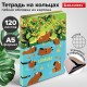 Тетрадь на кольцах А5 160х212 мм, 120 листов, картон, выборочный лак, клетка, BRAUBERG, 