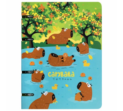 Тетрадь на кольцах А5 160х212 мм, 120 листов, картон, выборочный лак, клетка, BRAUBERG, 