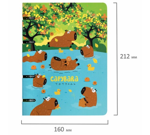 Тетрадь на кольцах А5 160х212 мм, 120 листов, картон, выборочный лак, клетка, BRAUBERG, 