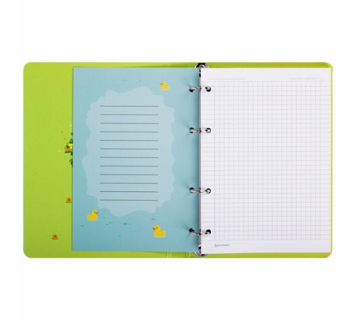 Тетрадь на кольцах А5 160х212 мм, 120 листов, картон, выборочный лак, клетка, BRAUBERG, 