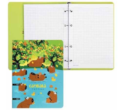 Тетрадь на кольцах А5 160х212 мм, 120 листов, картон, выборочный лак, клетка, BRAUBERG, 