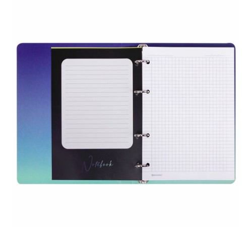 Тетрадь на кольцах А5 160х212 мм, 120 листов, картон, выборочный лак, клетка, BRAUBERG, 