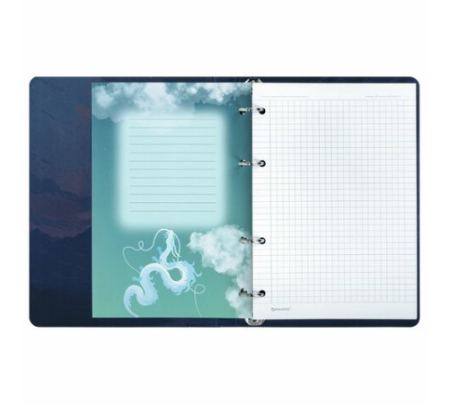 Тетрадь на кольцах А5 160х212 мм, 120 листов, картон, выборочный лак, клетка, BRAUBERG, 