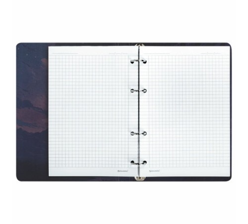 Тетрадь на кольцах А5 160х212 мм, 120 листов, картон, выборочный лак, клетка, BRAUBERG, 