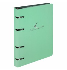 Тетрадь на кольцах А5 160х212 мм, 120 листов, картон, фольга, клетка, BRAUBERG, 