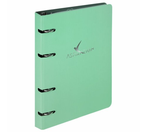 Тетрадь на кольцах А5 160х212 мм, 120 листов, картон, фольга, клетка, BRAUBERG, 