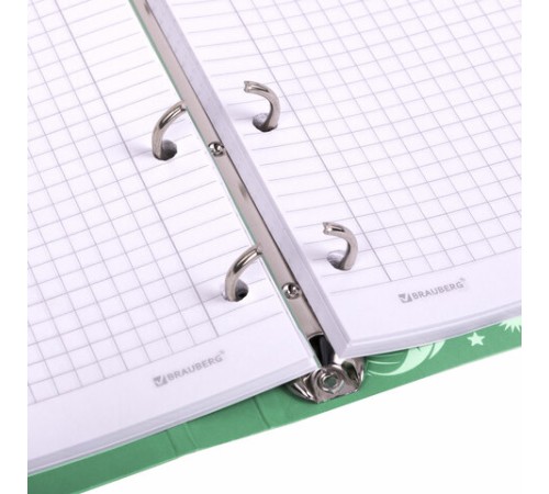 Тетрадь на кольцах А5 160х212 мм, 120 листов, картон, фольга, клетка, BRAUBERG, 