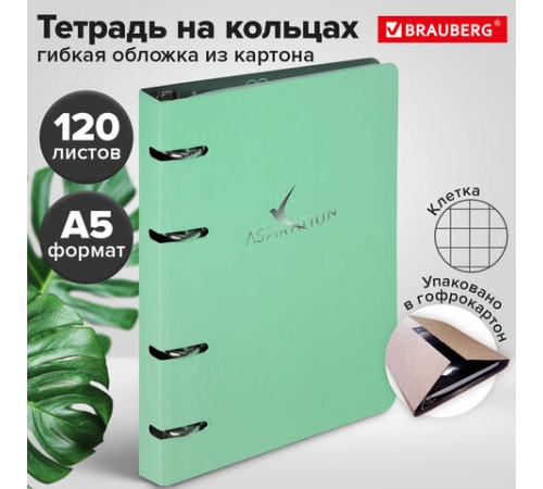 Тетрадь на кольцах А5 160х212 мм, 120 листов, картон, фольга, клетка, BRAUBERG, 