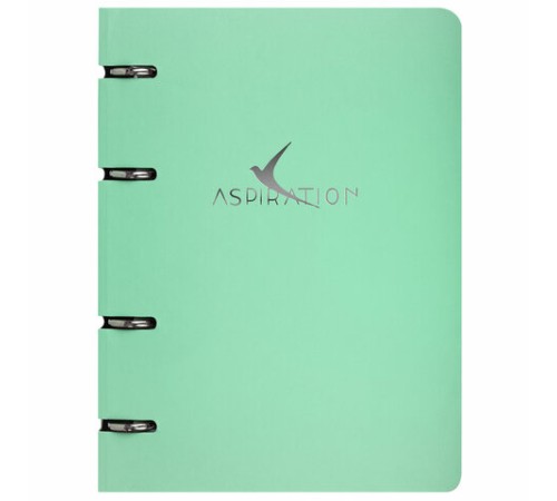 Тетрадь на кольцах А5 160х212 мм, 120 листов, картон, фольга, клетка, BRAUBERG, 